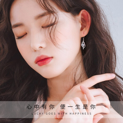 Shenyu Luoyan silver earrings for women, long tassels, personalized simple silver earrings 520 Valentine's Day gifts for girlfriends and wives on their birthdays, I have you in my heart earrings]