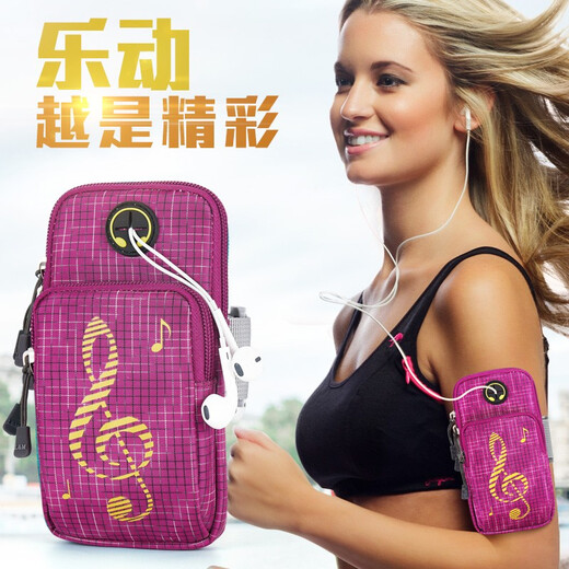 FLYVII outdoor running mobile phone arm bag fitness sports arm bag arm bag machine bag wrist bag equipment 6.5 inches black extended version