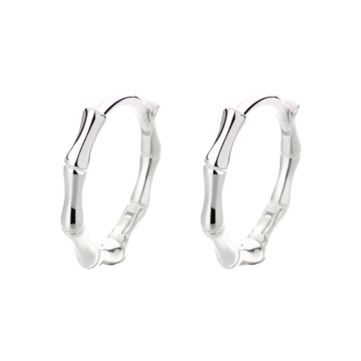 Nilan platinum earrings PT950 earrings for women platinum bamboo men's single fashion versatile earrings bamboo earrings (single)