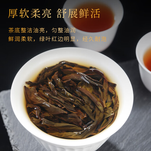 好茶农 肉桂茶武夷山岩茶 果香肉桂正宗大红袍茶叶新茶乌龙茶浓香口粮茶 品鉴装 8.3g*2包