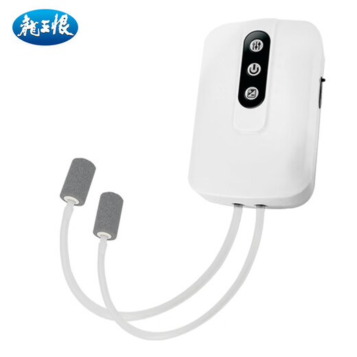 Dragon King Hates Oxygen Pump Silent Large Volume Oxygen Pump Outdoor Fishing Aerator LWH-2 Upgraded Double Hole