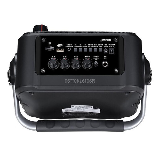 Malata household electric acoustic guitar folk singing instrument speaker mini portable audio subwoofer outdoor square dance performance street multi-function Y5S