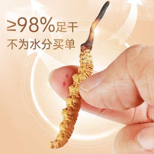 
Huaici Tang Cordyceps 4 pieces/g 10g gift box New dried Cordyceps nourishing gift box for elders Mother's Day gift