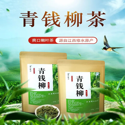 Jiangxi xiushui Wildes grünes Geld Willow Blatt Tee Qingqian Willow Jinqian Willow Tender Blatt Granulat Gesundheit Tee Chinesische Kräutermedizin 500-jährige Ancient Tree Qingqian Willow Granulat 250 Gramm Xiushui Wildes Green Money Willow Tender Blatt Blatt Blatt Blatt Blatt