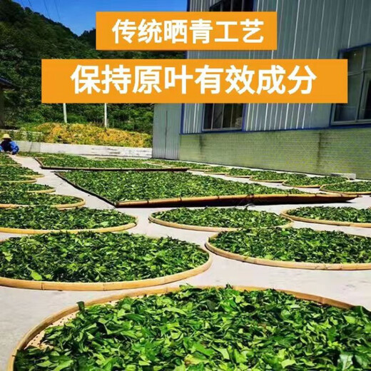 Xiushui Wildgrün und Qian Liu Tea Qingjin Geld Spezielle Grade Ancient Tree Tender Blätter Originalblätter mittleren und älteren Gesundheitstee One Jin [Jin entspricht 0,5 kg] 500 Gramm Originalblätter