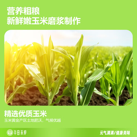 华田禾邦 甜糯玉米浆包 800g玉米饼粑粑饼粗粮东北特产手工蒸煎烙早餐速食