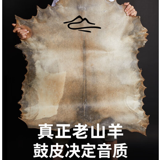 巴丽（BYLA）丽江非洲鼓山羊皮高端专用10/12/13寸儿童学生手拍鼓打击乐器 标12-云谷丽江+【全套赠品】