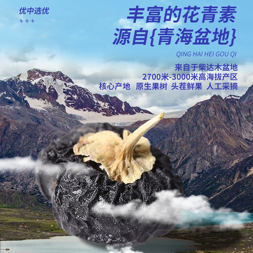 中宁枸杞红柳沟 枸杞 黑枸杞中果 红枸杞 精选青海黑枸杞 黑枸杞250g/罐