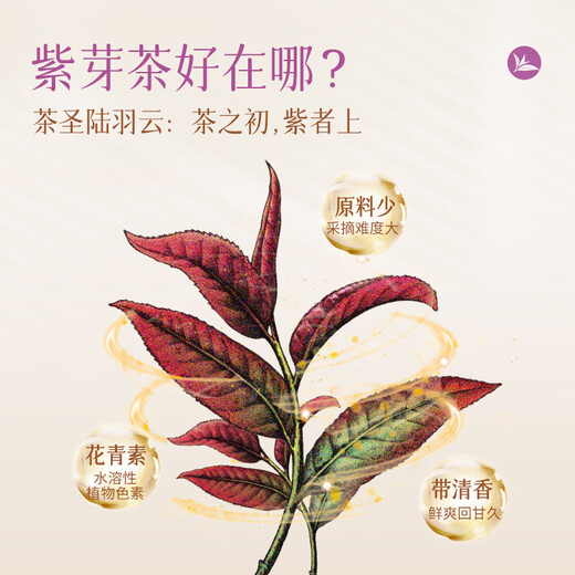 Lancang ancient thé violet berry thé cru ther indépendant petit gâteau mignon 2023 Yunnan Purple Berry Raw Tea Cake Box Puer Thé Cake [Thé cru à la baie violette] 20 pièces