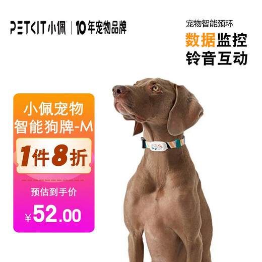 PETKIT Pet Smart Cat Tag Dog Tag Intelligent Motion Detection Wearable Device Bluetooth Collar Dog Tag-M