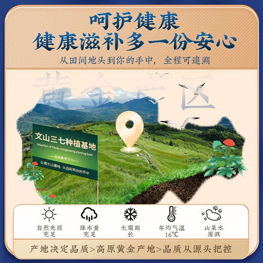 北京同仁堂超细三七粉文山可搭特级纯天然37粉云南田七粉 北京同仁堂 官方正品 四罐装【价格实惠】