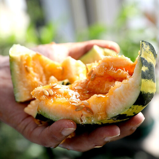 Yuhenong Bingtangzi melon seeds collection, cantaloupe seedlings, pear and melon seeds, high-quality old varieties of winter fruits and vegetables, Bingtangzi melon seeds 50 capsules/bag