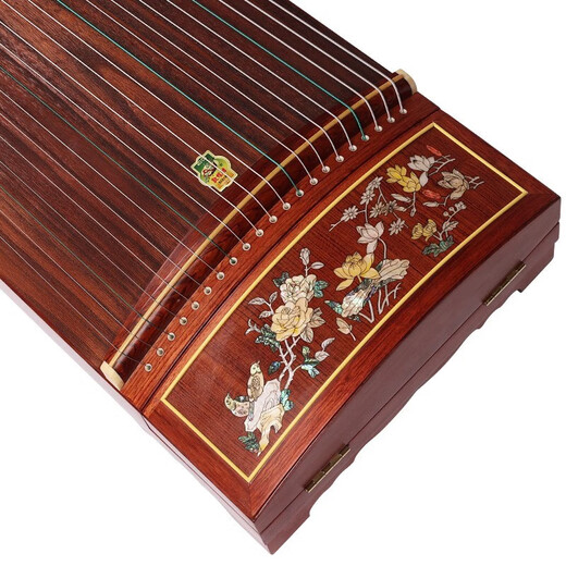 Dunhuang Marke Guzheng Erwachsene Kinder Anfänger Leistung Guzheng Prüfung 694ll