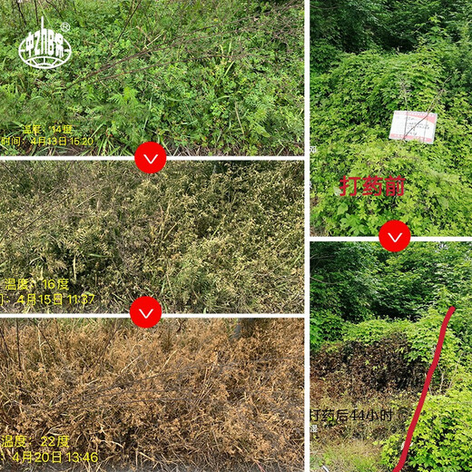 Zhongbao (ZhB) 200g/L glufosinate-ammonium aqueous herbicide wasteland non-cultivated land weeds 20% glufosinate-ammonium glufosinate 5kg*1 barrel
