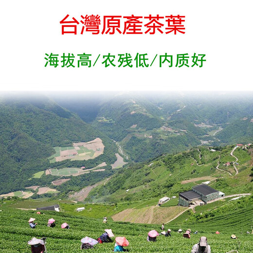 Pingming 2025 neuer Tee Alishan Gaoshan Tee Taiwans Original Jinxuan Oolong Tea Duft 150g einfacher Essen Tee