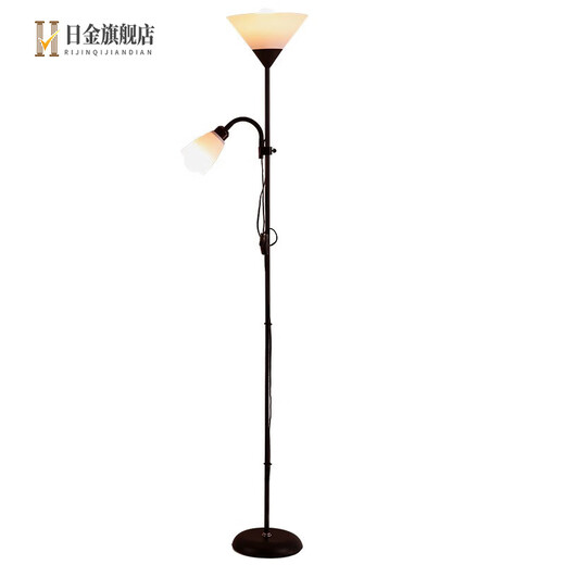 Nordic Wohnzimmer Schlafzimmer einfache Internet-Promi LED moderne Dekoration Studie multifunktionale vertikale Lampe 5021 schwarzes Modell 15W + 9W dreifarbige Dimmung