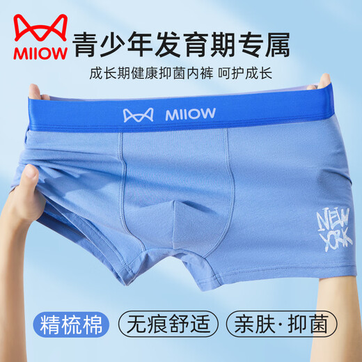 Catman children's underwear for boys, middle and high school students in the developmental period, spring and summer boxer briefs for teenagers, large size men's boxer shorts