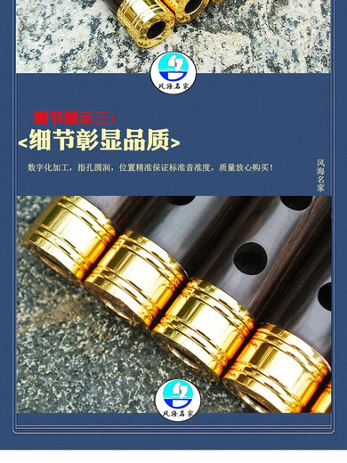 风海名家管子乐器初学者 镀金箍专业级成人儿童催泪管D大G调大F送树脂哨片 专业大F调（高配）