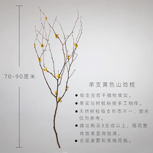 Aesthetic Hacker Handmade Birch Trunks Mountain Twisted Magnolia Branches Bouquet Living Room Decoration Dried Flowers Real Flower Flower Arrangement Home Indoor Three Mountain Twisted Yellow Branches More Affordable