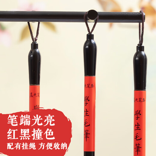 M&G stationery and brush set for students, calligraphy, French painting and calligraphy for beginners, large, medium and small regular script set, 3 pieces of regular script and seal script pens, birthday gift AWBY8420