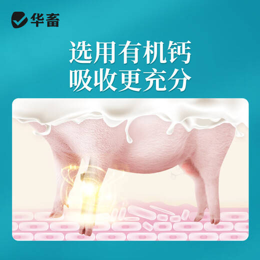 Huazhu Youneng Suckling Pig Cattle, Sheep, Poultry and Chicken Trace Elements for Aquatic Products Veterinary Calcium Supplement Feed Additive Liquid Organic Milk Calcium 1 Bottle Organic Liquid Milk Calcium 1L/Bottle