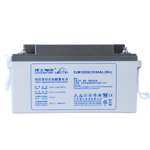 RIS-Blei-Säure-Akku 12V DJM1238S ~ DJM12200S Computer Room Ups EPS Netzteil Energiespeicher Batterie DJM12150S (12 V)