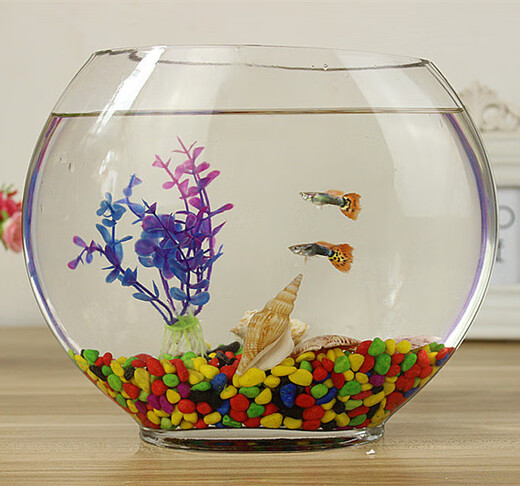 Fanbaiku creativo de peces de vidrio plano de boca plana ovalada, peces de pescado de oro de vidrio transparente ultra blanco mini acuario pequeño escritorio de escritorio 20 peces planos + piedras de colores