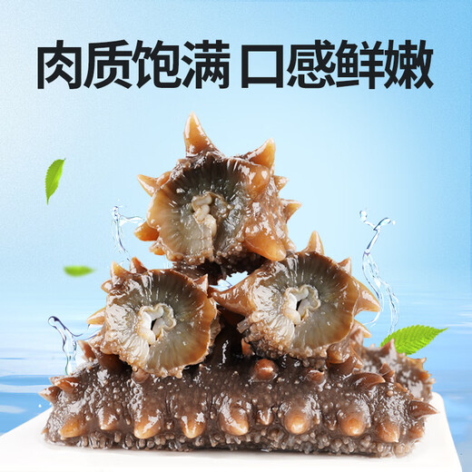 Guanshentang Dalian ready-to-eat sea cucumber 1Jin Jin is equal to 0.5kg 5-7 pieces Frozen sea cucumber seafood simple package more than 85% solid content