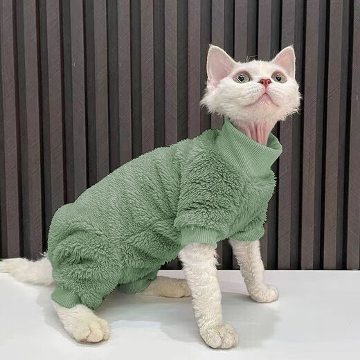 秋冬装打底无毛猫衣服斯芬克斯卫衣复古猫咪可爱小型宠物衣服潮牌