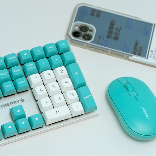 CHERRY cherry KC200 office mechanical keyboard 108-key full-size wired keyboard Office business home game keyboard Send girls Blue and white mint tea scroll