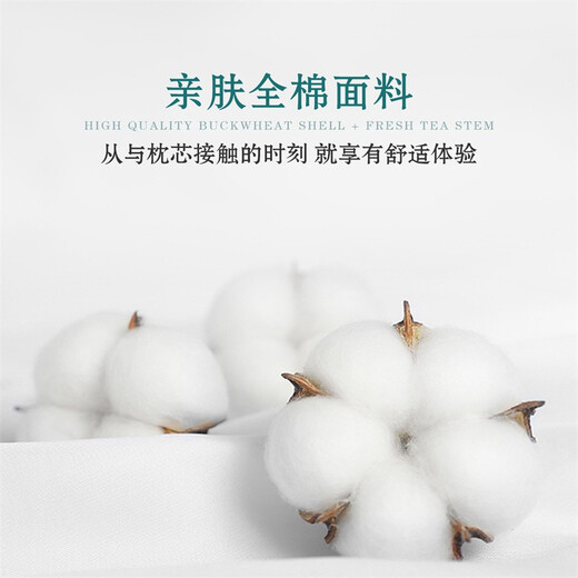 Mercury Home Textiles Pillow core cervical pillow Cassia buckwheat pillow flower and grass pillow Single adult pillow core Shushui pillow core [Pair of pair] Cassia tea fragrance pillow universal