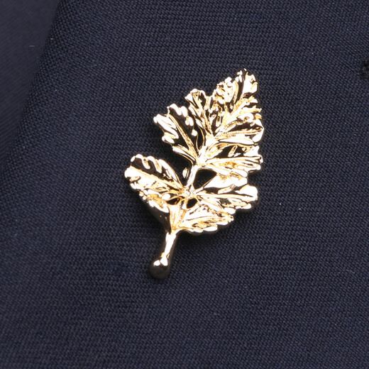 Lieshang's new smooth sailing men's fashion brooch, high-end suit corsage, business lapel pin, navy style badge brooch, gold smooth sailing brooch