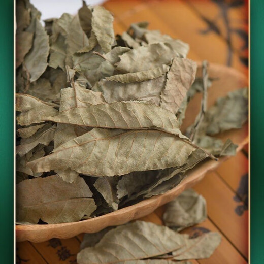 Beijing Tongrentang Qingqian Liuyuan Leaf Tea Jiangxi Wild Ancient Tree Raw Leaf Tea Genuine Golden Willow Health Tea Qingqian Liu Sugar-free Inner Court Used Original Leaf Green Qian Liu 500g