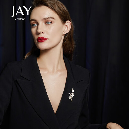 Jay Snow Plum Brooch High-end Women's Suit Accessories Birthday Gift for Elder Mothers and Mother-in-law