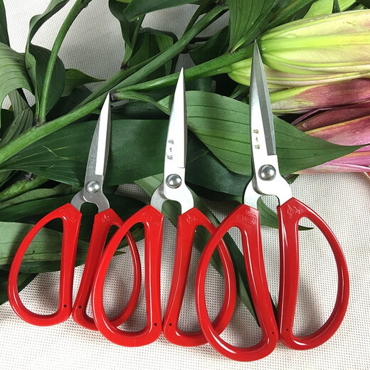 张小泉 不锈钢家庭用剪办公剪布剪窗花纸剪裁缝剪 12.5cm单把