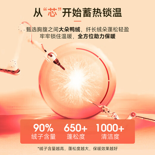 Xiangying Stand Collar Gray Down Jacket Women's Short 2025 Winter New Small High-end Bread Jacket Gray S