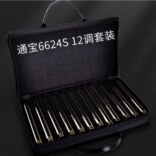 TOMBO 6624S Polyphone 24-Loch-Mundharmonika für Erwachsene, fortgeschrittene professionelle Tongbao-Mundharmonika für Anfänger, C-Taste, 24-Loch-12-teiliges Set + Gigbag, keine Geschenke