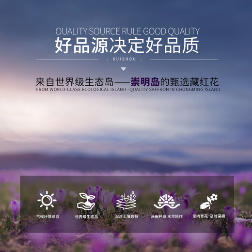 【买花送种球】正宗上海崇明藏红花 特级藏红花 正品藏红花非西藏 大众级10g