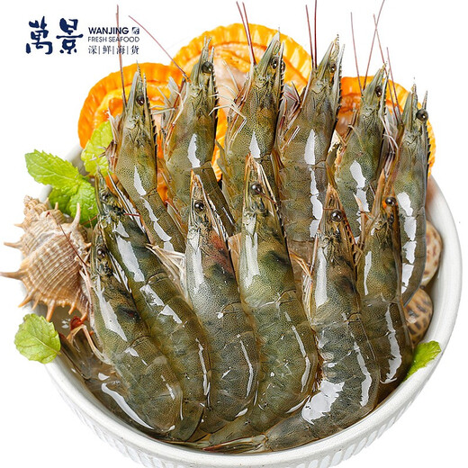 Wanjing Domestic Live Frozen White Shrimp Net Weight 2Jin Jin is equal to 0.5kg/box Single Frozen No Ice HACCP Certification Family Dinner Seafood