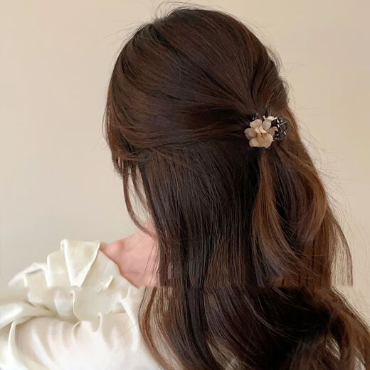 Suyi Embroidered Camellia Exquisite Small Clip Back of the Head Half-tied Hair Clip for Women 2024 New Summer Shawl Hair Clip Short Hair Clip Gray + Brown 1 Pair