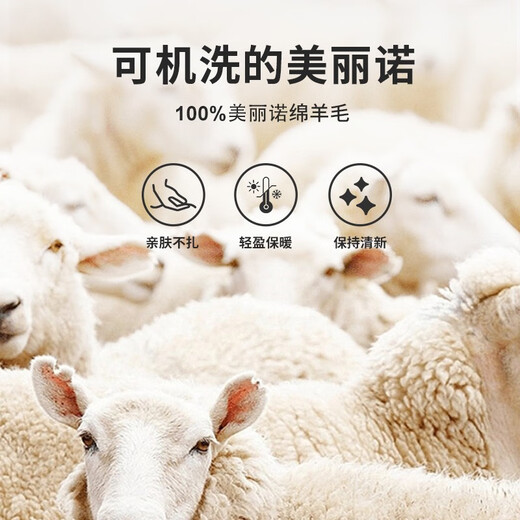 Navigare Italian small sailing boat round neck cardigan men's autumn and winter sweater pullover base layer pure wool sweater Muscati 2XL /54