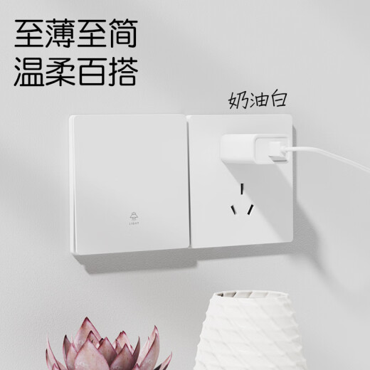 国际电工开关插座面板86型暗装家用超薄白色哑光大板一开双控五孔带开关 五孔插座
