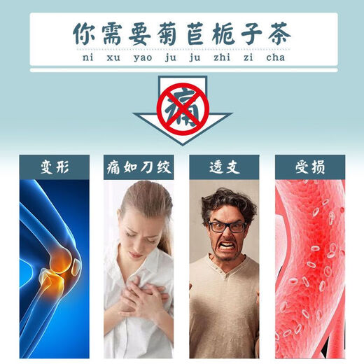 通用菊苣栀子片黄太阳菊苣栀子茶葛根桑叶茯苓茶青钱柳组合真材实料养 1罐 1mg 原料装30包【周期装】再送杯