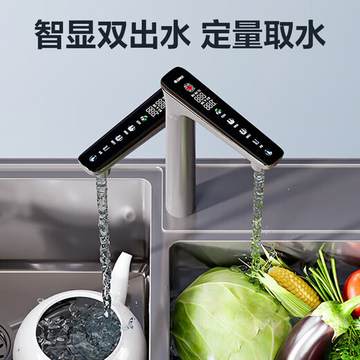 格力（GREE）净水器家用厨下式反渗透双出水净水机 1000G大流量净饮机7年长效RO滤芯高效除菌 数显触控水龙头 WTE-PT125-2603