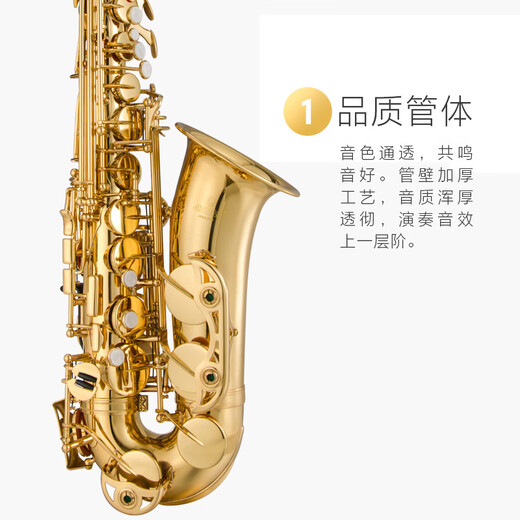津宝萨克斯中音降E调JBAS-601专业考级演奏款大咖推荐萨克斯管乐器