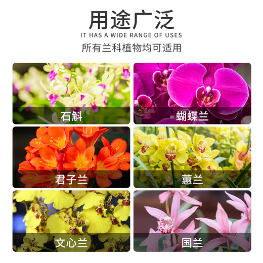 Devodo fairy soil 2.5kg (6-12mm) gardening potted green plant flower fertilizer succulent granules soil orchid Clivia plant material