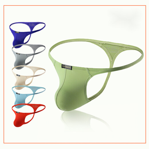 ROSELEX Gerbes men's underwear nylon sexy low-waist single T-pants large size thong men's green S S gray