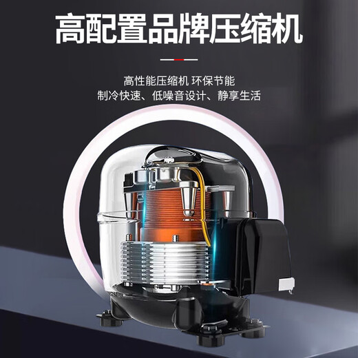 Bingxiong Displayschrank gekühltes Frischlagerschrank kommerzielle Gefrierschrankwein Direkter kaltes vertikaler Supermarkt Convenience Store Bar Biergetränkschrank Displanschrank 338 Eingangstür Displayschrank/Energieeinsparung und niedriger Verbrauch 540*530*1695