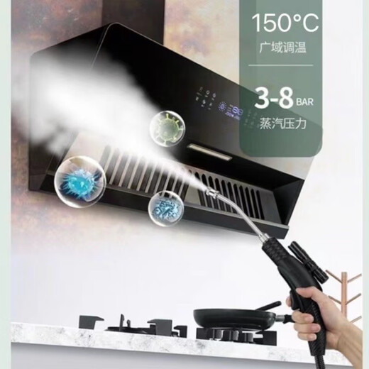 Ruizhi household high-pressure and high-temperature steam cleaner, household appliances, range hood, air conditioner, kitchen multi-function equipment, special cleaning all-in-one machine to disinfect car beauty film interior 3600W five-in-one (cold water hot water steam pulse ozone)