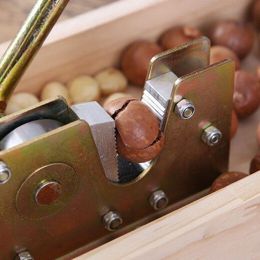 Qiashuo Nut Opening Artifact Walnut and Macadamia Nut Opener Opener Shell Opener Clamp Fresh Nut Tool Hawaiian Fruit Opening Artifact New Type - With Suction Cup